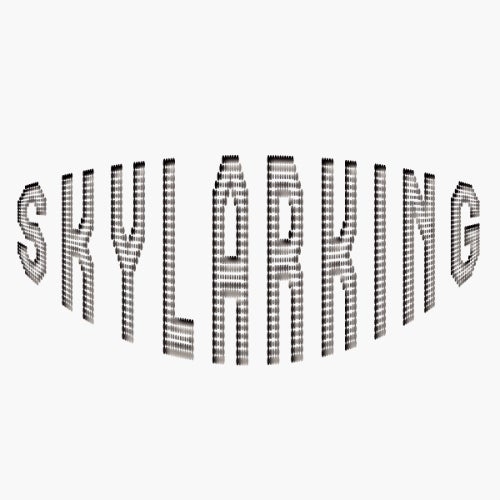 Skylarking