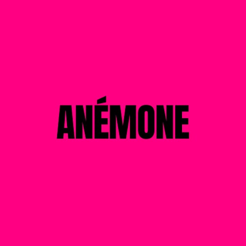 ANÉMONE