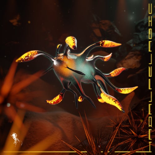 HADALPELAGIC