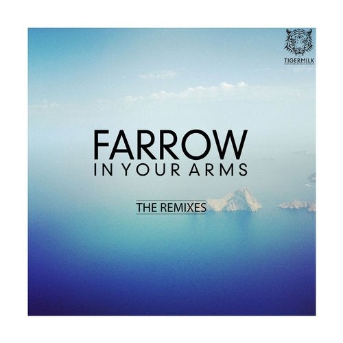In Your Arms (The Remixes)