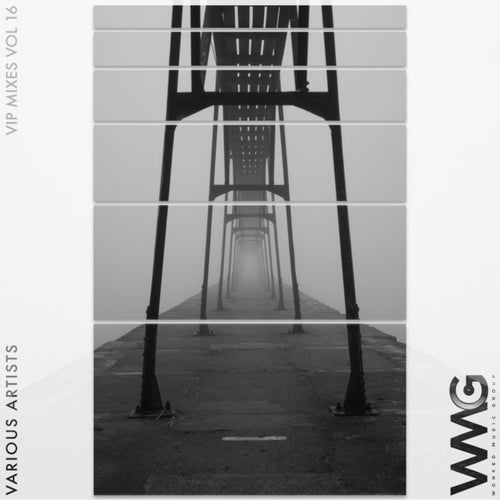 VIP Mixes, Vol. 16