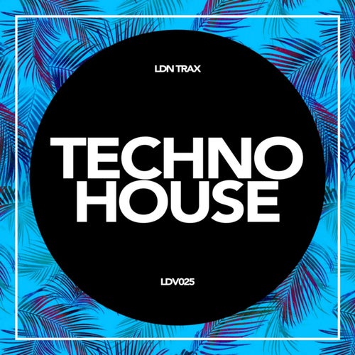 Techno House