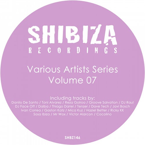 Various Artists Series 07