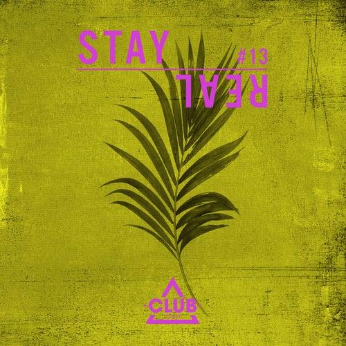 Stay Real #13