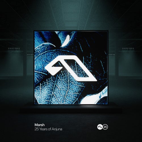 25 Years Of Anjuna Mixed By Marsh