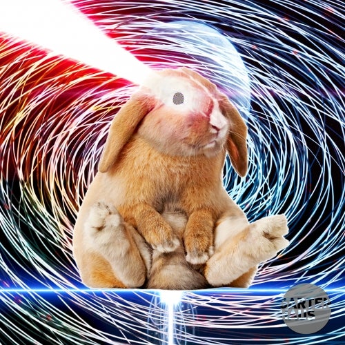 Rabbit Universe Chart