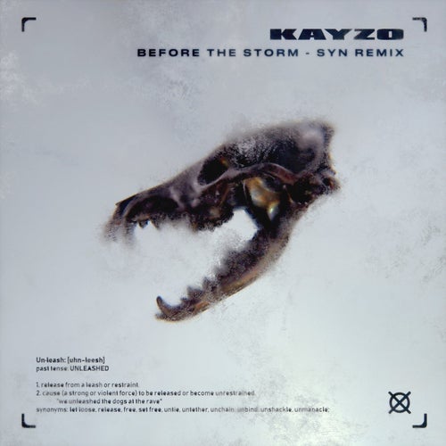 Before The Storm - SYN Remix