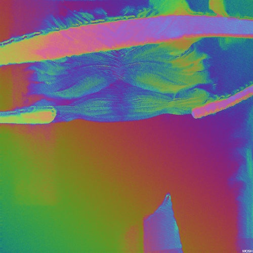 Mi Pez Murió Anoche Remixed
