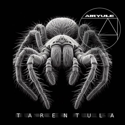 TARENTULA