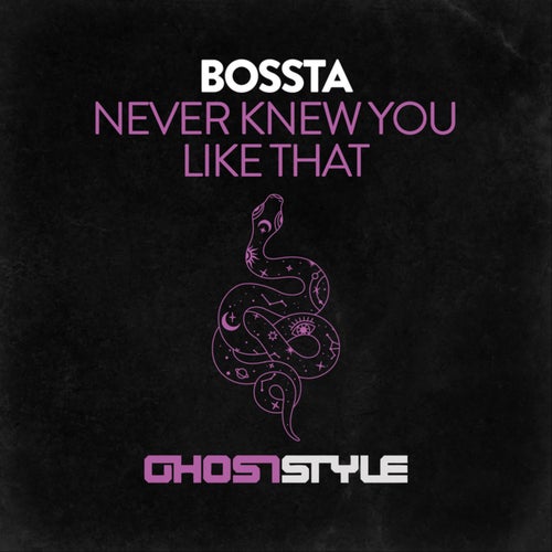  Bossta - Never Knew You Like That (2024) 