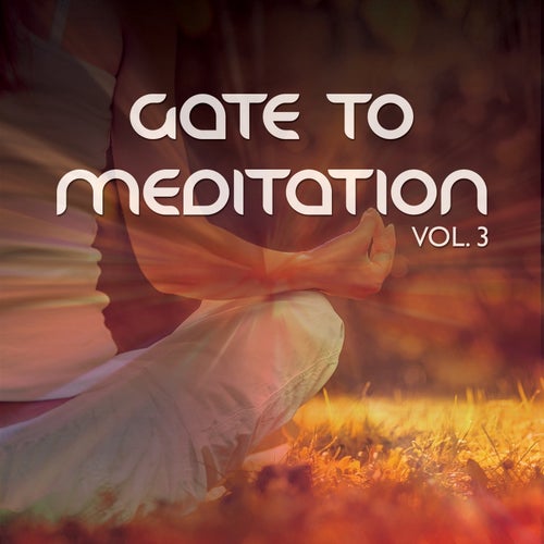 Gate To Meditation, Vol. 3 (Intensive Meditation & Relaxation Tunes )
