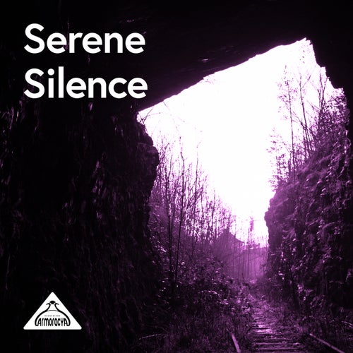 Serene Silence