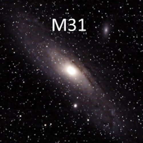 M31