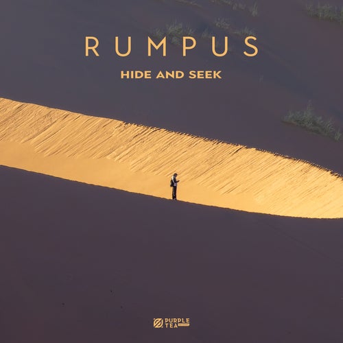 Hide and Seek