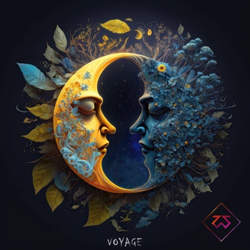Voyage