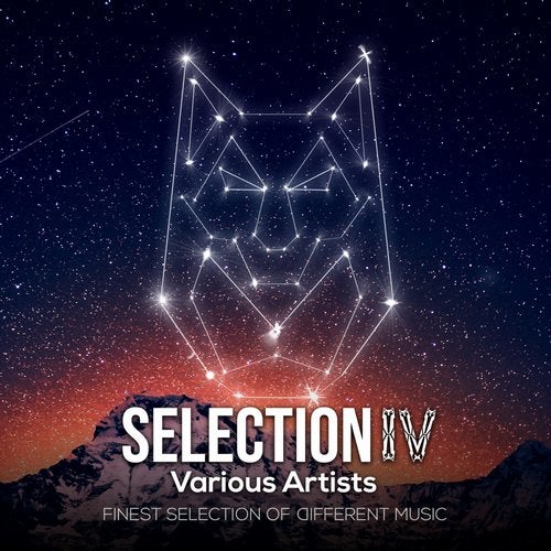 Cover art for SELECTION 04