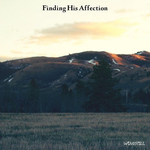 Cover art for Finding His Affection