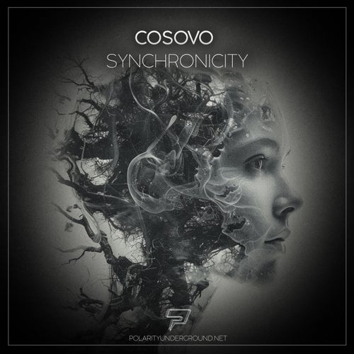 Synchronicity