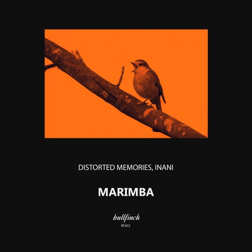 Marimba
