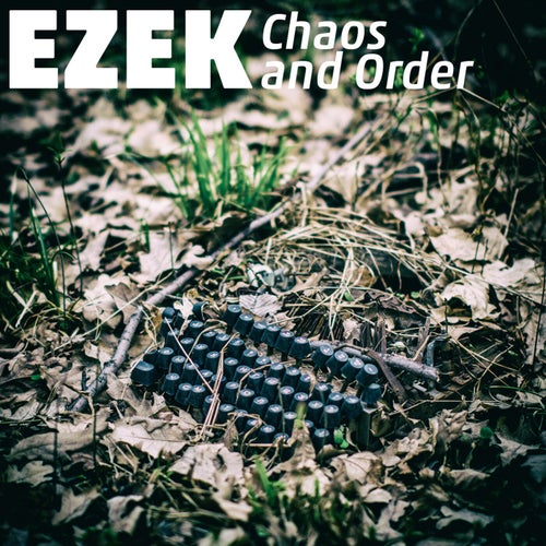 Chaos and Order