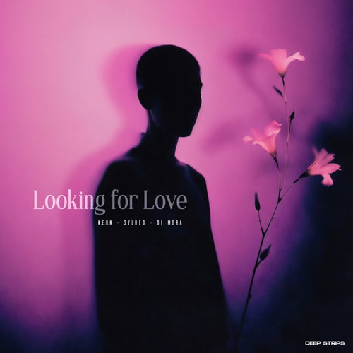 Looking For Love