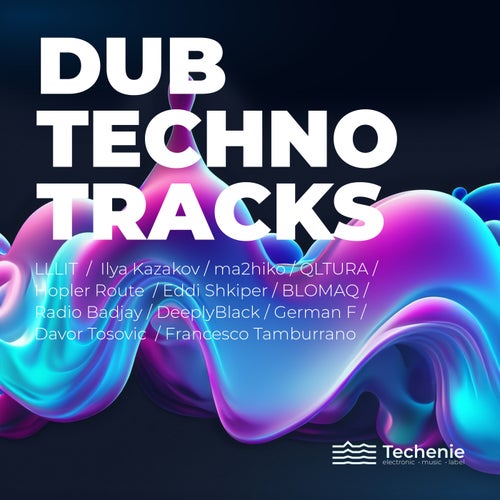 VA - Dub Techno Tracks (2024)