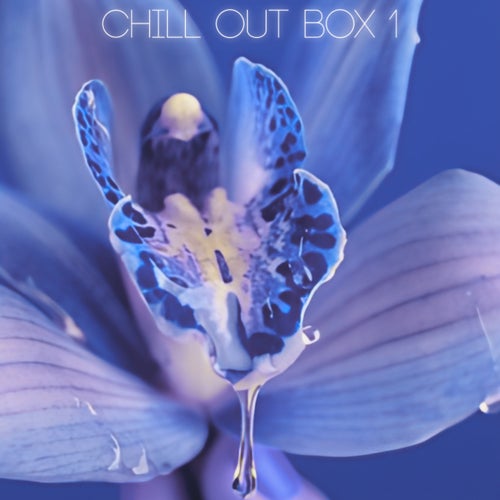 CHILL OUT BOX 1