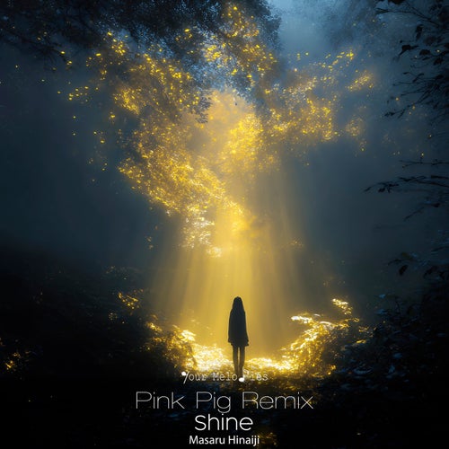 Pink Pig, Masaru Hinaiji - Shine (Pink Pig Extended Remix)