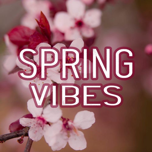 Spring Vibes