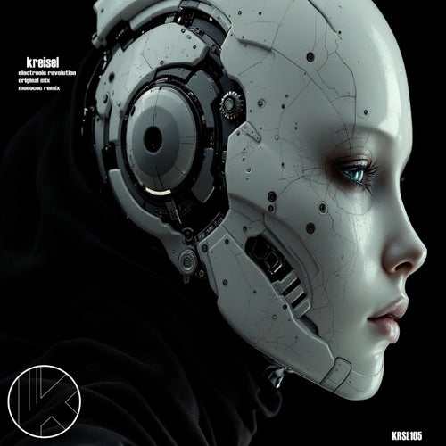 Electronic Revolution