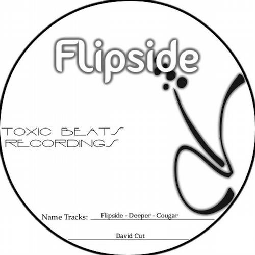 Flipside