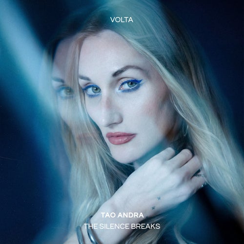 The Silence Breaks cover art