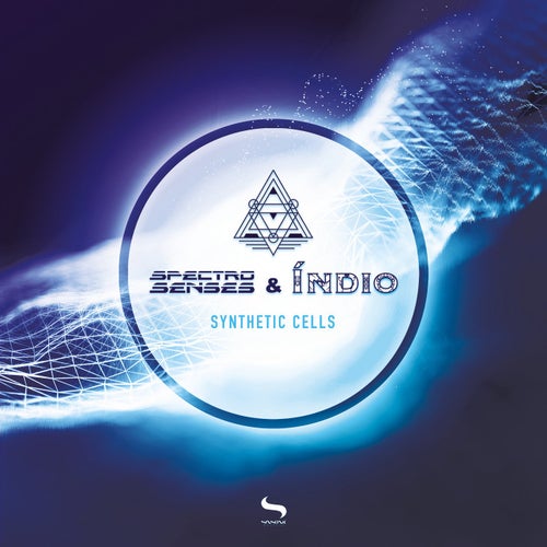 Synthetic Cells
