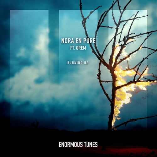 Nora En Pure Music & Downloads on Beatport