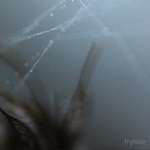 Cover art for Fountayne EP