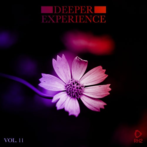 Deeper Experience Vol. 11