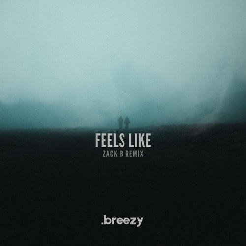 Feels Like (Zack B Remix)