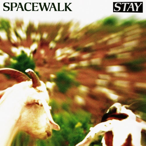 Stay (Extended Mix)
