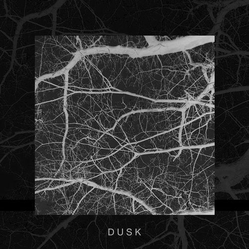 Cover art for Dusk
