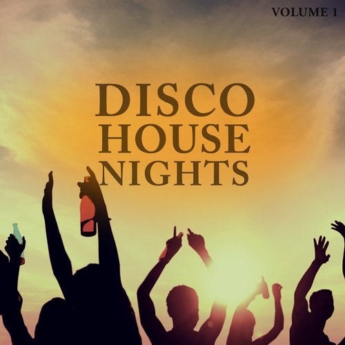 Cover art for Disco House Nights, Vol. 1 (Wonderful Mix Of Smooth Disco & Club Disco Sound)