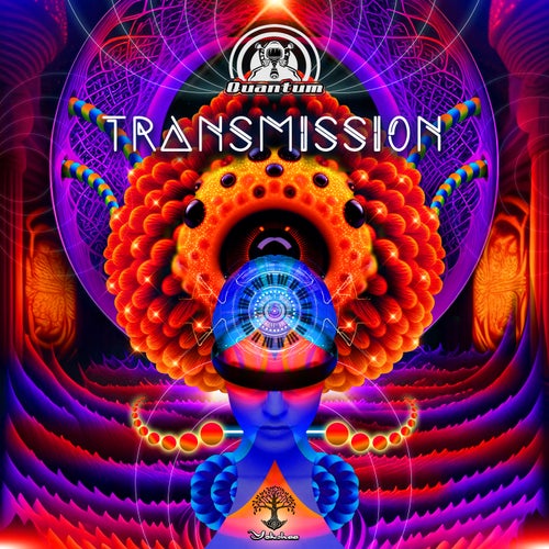  Quantum - Transmission (2023) 