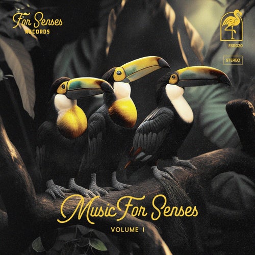Music for Senses I