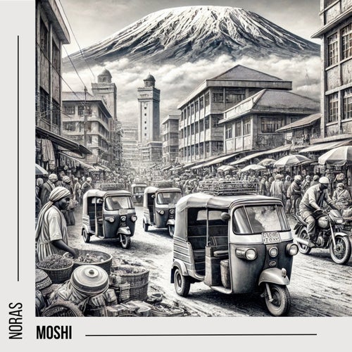 Moshi