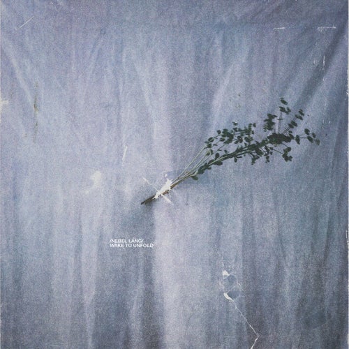 Wake to Unfold
