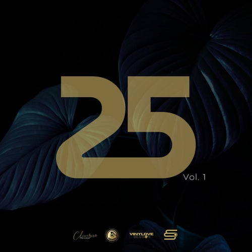 25 Vol.1