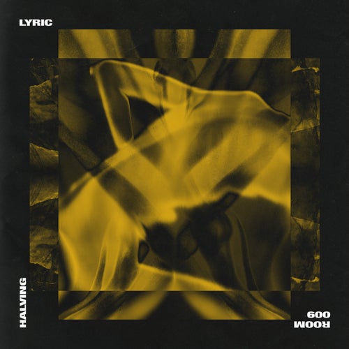 Cover art for Halving