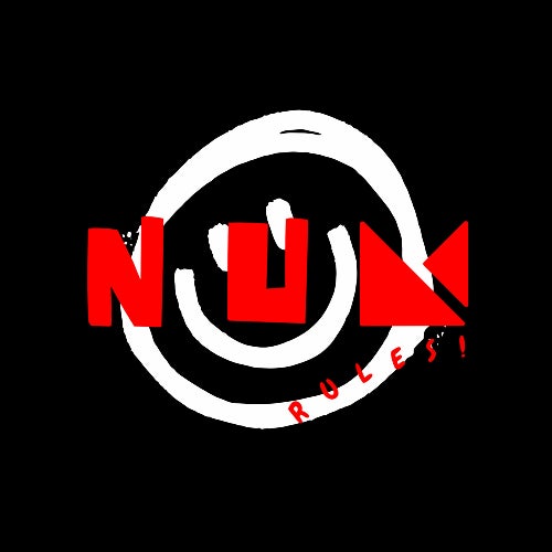 NUMERIQUE RULES!