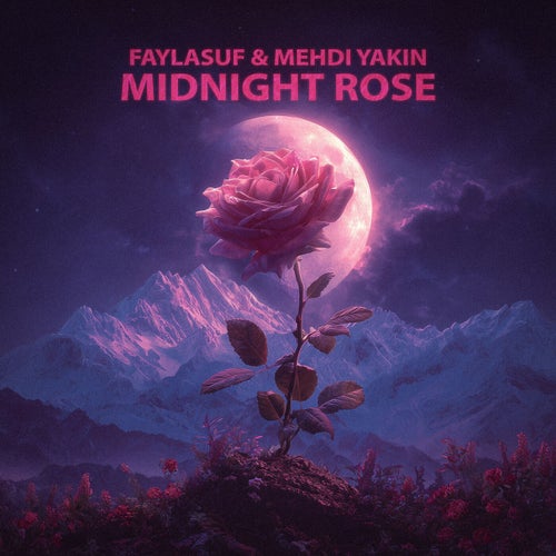 Midnight Rose