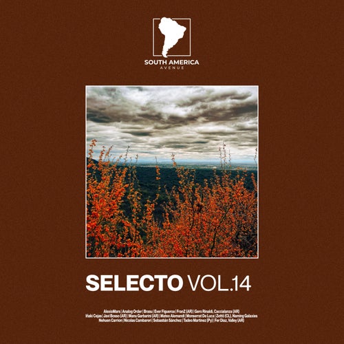 Selecto South America, 14 (2026)