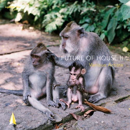 Future Of House II